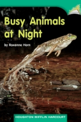 Busy Animals at Night