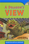 A Dragon's View