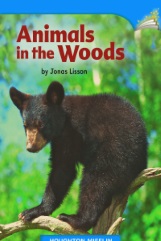 Animals in the Woods