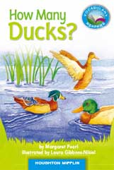 How Many Ducks?