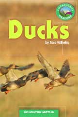 Ducks