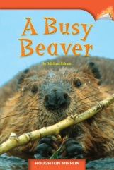 A Busy Beaver