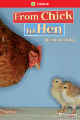 From Chick to Hen